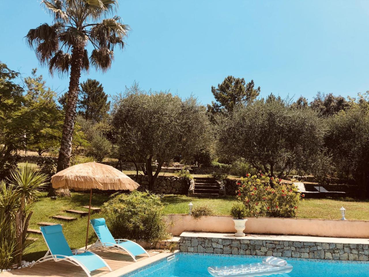 Maison De Vacances Villa Cardabella Le Tignet Ngoại thất bức ảnh